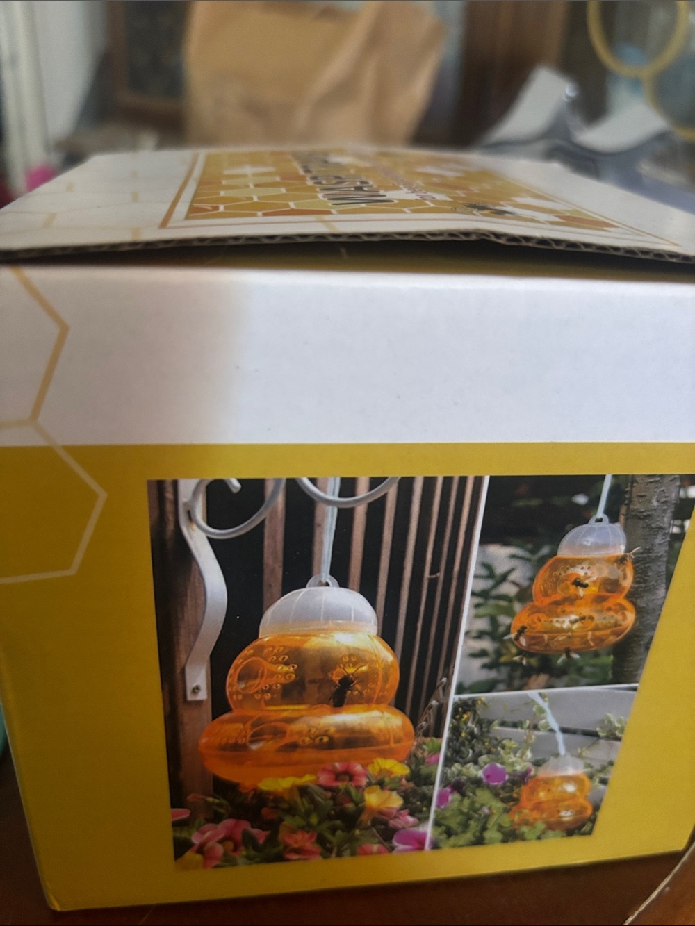 Wasp trap